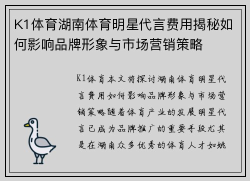 K1体育湖南体育明星代言费用揭秘如何影响品牌形象与市场营销策略